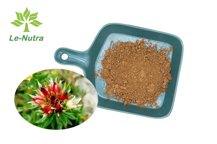 Rhodiola Rosea Extract