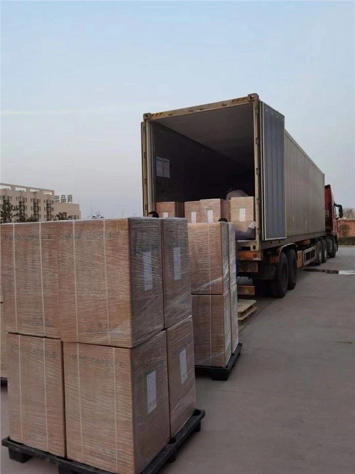 Titanium Dioxide Free Capsule