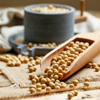 hydrolyzed soy protein hydrolyzed soy protein